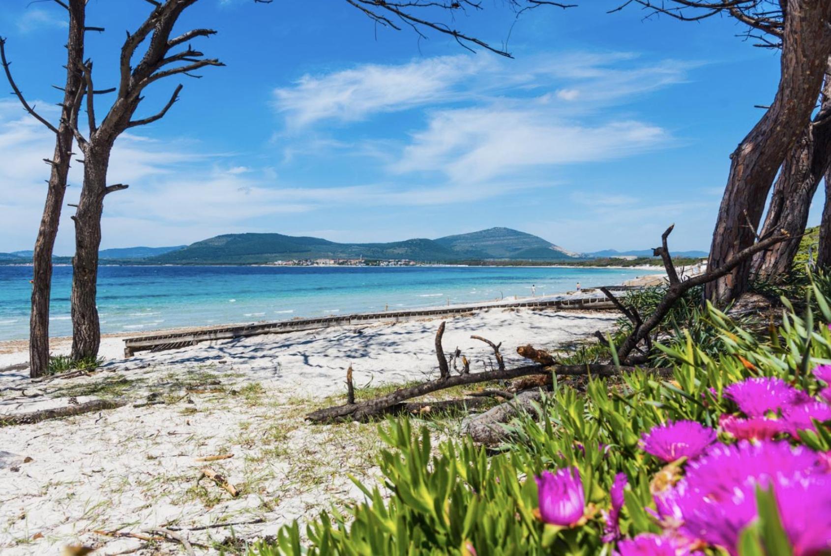 Villa Le Dune A Few Steps From The Sandy Beach Of Maria Pia アルゲーロ エクステリア 写真