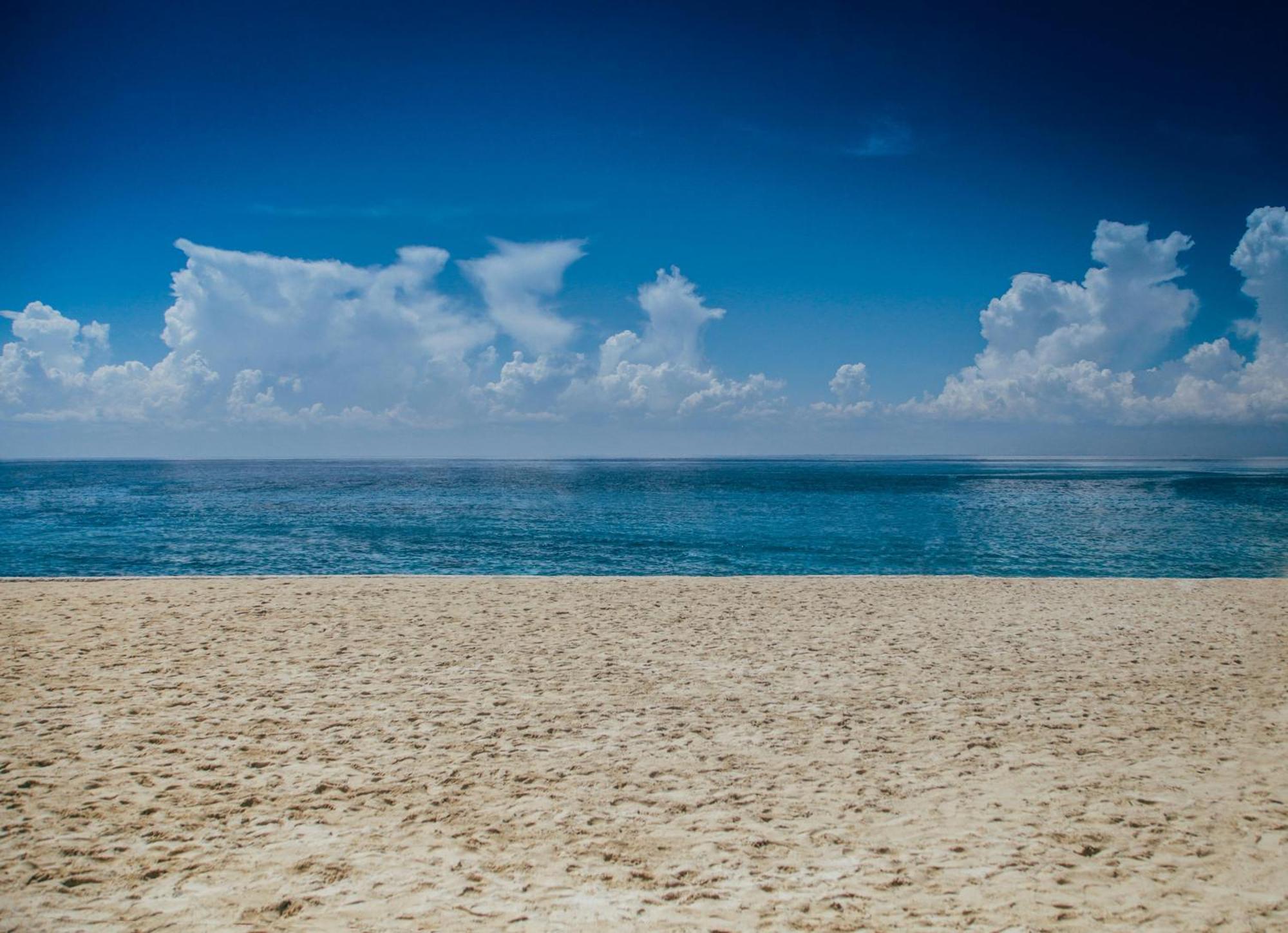 Villa Le Dune A Few Steps From The Sandy Beach Of Maria Pia アルゲーロ エクステリア 写真